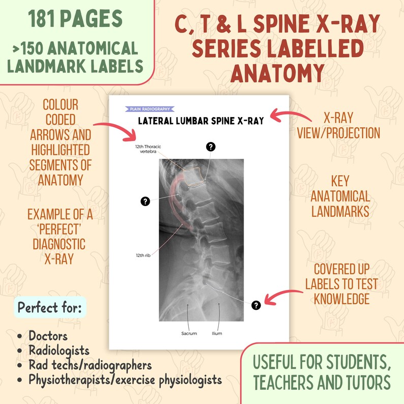 Cervical, Thoracic & Lumbar Spine Anatomy Bundle 2025, Radiography ...
