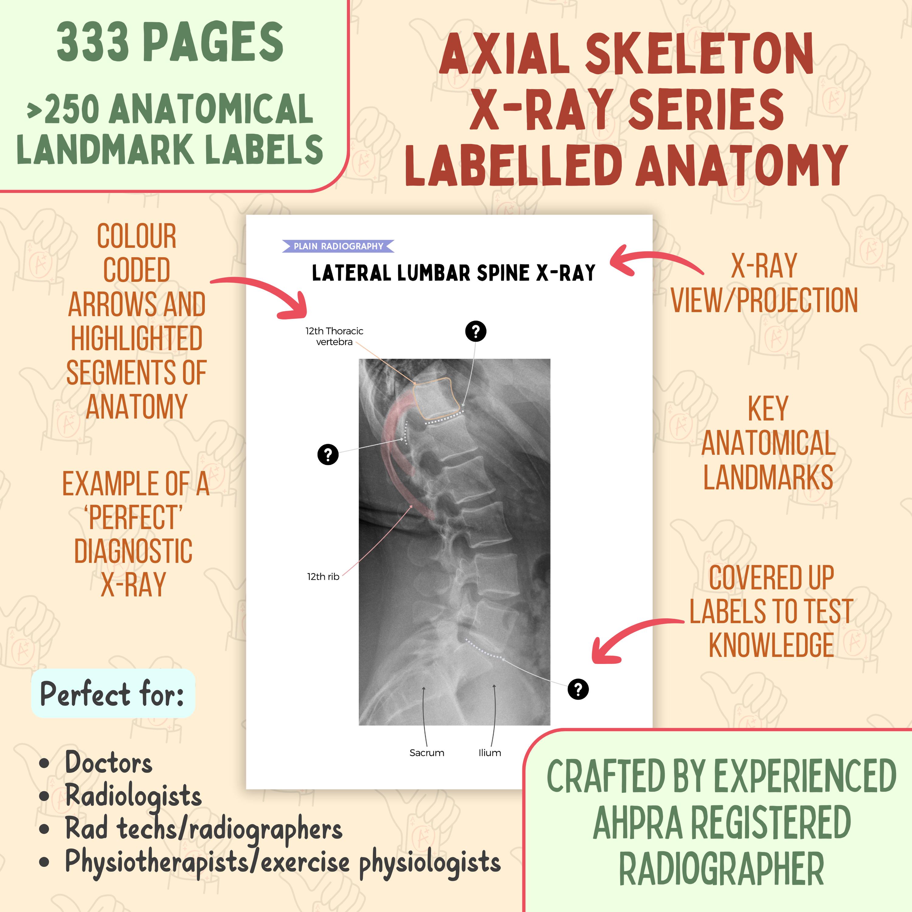 Axial Skeleton X-ray Anatomy Bundle: Radiography Study (PDF) - Etsy