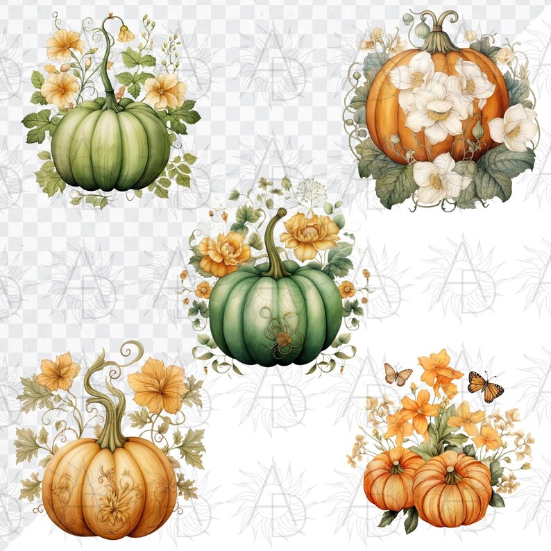 Floral Pumpkin Clipart Bundle: Watercolor Flower Pumpkins (PNG Digital ...