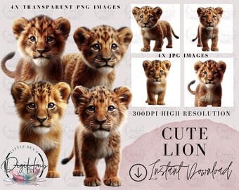 Cute Lion Watercolor Clipart - High Quality PNG JPG Format Images with Commercial Use - African Savannah Safari Animals Instant Download