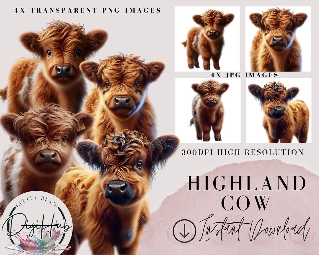 Cute Highland Cow Watercolor Clipart - High Quality PNG JPG Format ...