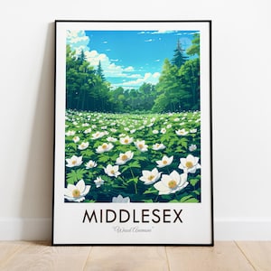 May include: A framed poster featuring a colourful illustration of a field of white flowers with green trees in the background. The poster has the text "MIDDLESEX" and "Wild Garden" printed on it.