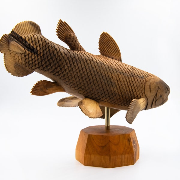 Wooden Coelacanth (Latimeria chalumnae)