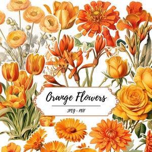 Pagine stampabili con taglio elaborato di fiori arancioni // 60 immagini ispirate al vintage // Illustrazione botanica naturalistica // Stampa naturalistica // Bella floreale