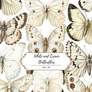 White and Cream Butterflies Clip Art // 60 Vintage inspirierte Fussy Cut Seiten // Insekten // Schmetterling // Bastelmaterial // Journal