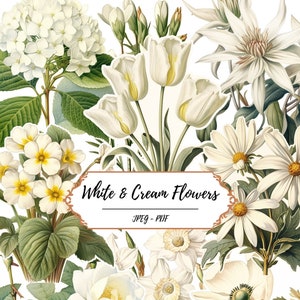 Weiße und Creme Blumen Seiten // 60 Vintage inspirierte Fussy Cut Bilder // Botanische // Florale Ephemera // Kreatives Journal // Basteln