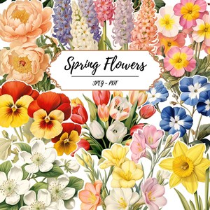 60 Frühlingsblumen Printable Seiten // 60 Vintage Inspirierte Fussy Cut Bilder // Floral // Botanische // Natur Ephemera // Scrapbooking // Journal