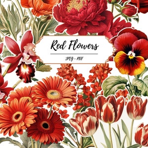 Page imprimable découpée de fleurs rouges / 60 images numériques d'inspiration vintage / / Illustration botanique / / Journal créatif / / Collage papier