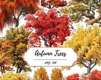 May include: A collection of autumn trees with various colors, including red, orange, yellow, and brown. The trees are isolated on a white background.  JPEG - PDF