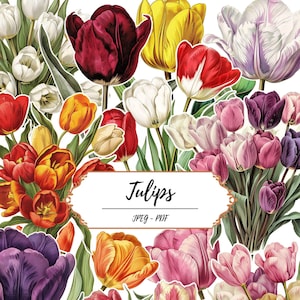 Tulip Fussy Cut Printable Pages // 60 Vintage Inspired Clip Art Images // JPEG PDF // Colourful Flowers // Floral // Botanical Scrapbook Kit