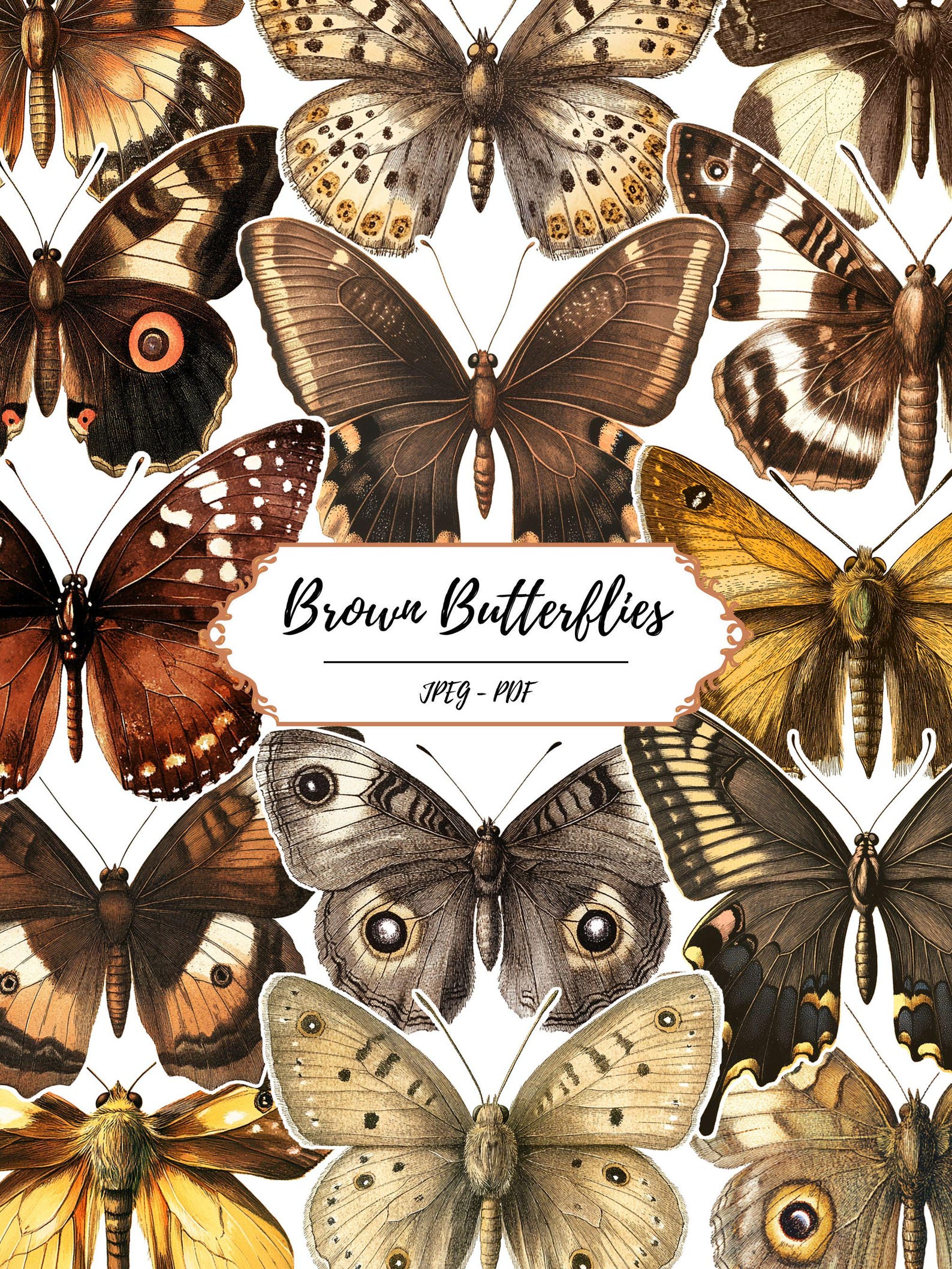 Brown Butterflies Printable Clip Art // 60 Vintage Inspired Fussy Cut ...