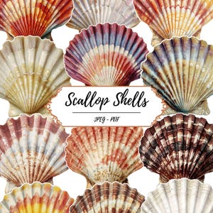 May include: A collection of colorful scallop shells in various shades of red, orange, yellow, brown, and white. The shells are arranged against a white background. Text on the image reads "Scallop Shells" and "JPEG - PDF".