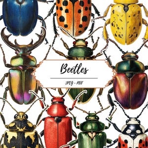 Beetles Printable Pages // 60 Vintage Inspired Fussy Cut Clip Art Images // Insects // Bugs // Scrapbooking // JPEG PDF // Journaling Supply