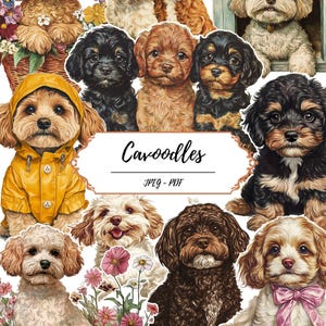 Op de afbeelding: Een verzameling Cavoodle-puppy's in verschillende kleuren en houdingen, waaronder een in een gele regenjas, een in een hondenhok en andere met bloemen of een roze strik. De centrale tekst luidt Cavoodles en JPEG - PDF in een kader.