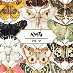 May include: A collection of various moth illustrations in a collage. The moths display a range of colors, including yellow, brown, white, and pink, with detailed wing patterns. The image includes the word "Moths" in a decorative font, along with "JPEG - PDF".