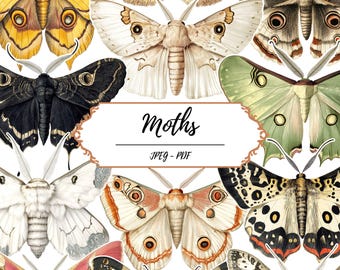 May include: A collection of various moth illustrations in a collage. The moths display a range of colors, including yellow, brown, white, and pink, with detailed wing patterns. The image includes the word "Moths" in a decorative font, along with "JPEG - PDF".