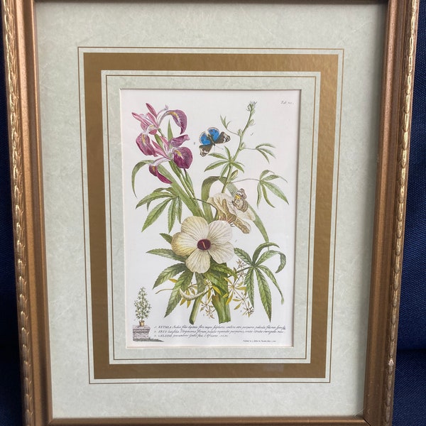 Vintage Floral Lithograph