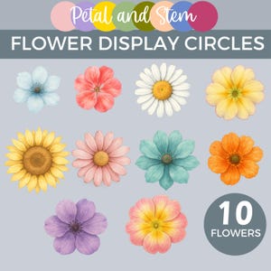 May include: Watercolor flower display circles featuring ten different floral designs in various colors, including blue, pink, yellow, and orange. The text "Petal and Stem" and "Flower Display Circles" are displayed at the top.