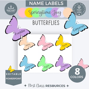 Editable Butterfly Classroom Name Tags Labels, Editable printable student Desk Name Plates Teacher Resource, Spring Classroom Decor