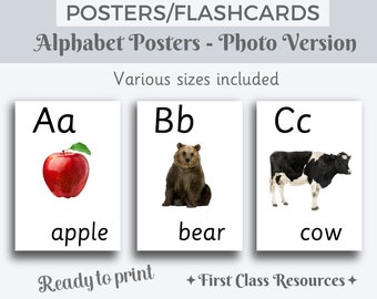 Alphabet Posters Classroom Decor, Alphabet Posters Real Pictures, Alphabet Printable, Alphabet flashcards, home school decor Alphabet Photos