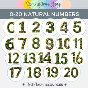 Schede numeriche sulla natura da 0 a 20, schede flash con numeri primaverili, decorazioni per aule a tema naturale, display di conteggio, riconoscimento dei numeri, matematica precoce EYFS