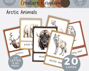 Arctic animals flashcards, Watercolor Animal Flash Cards, Educational Printable for Kids, Montessori Learning preschool Wildlife Printables
