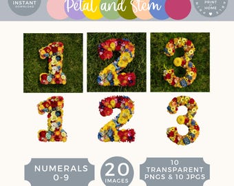 Natural Numbers for Classroom, Nature flower cards 0 to 9, Outdoor Education, Forest School, Montessori Homeschooling floral numerals SA003