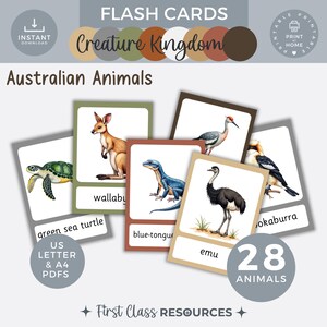 Australia animal flashcard, Wildlife Learning Cards for Kids, Classroom Decor, Homeschool Resources, Vocabulary flash cards native birds PDF