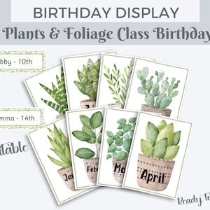 Verjaardagsdisplay planten en gebladerte, viering klaslokaal, bohoplanten klaslokaal, modern groen klasdecor, klasverjaardagen