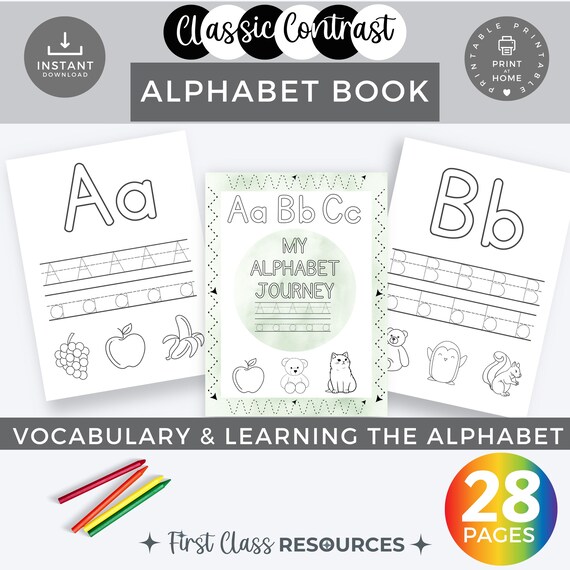 Alphabet Phonics Workbook, Letter Sounds & Tracing, Handwriting Practice, Phoneme Recognition, Early Literacy, Preschool and Kindergarten