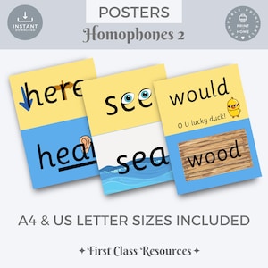 Homophones Klassenzimmer Poster, Homophones Poster, Klassenzimmer Dekor, häufig verwechselte Wörter, Rechtschreibung Poster, Lernposter, Grammatik