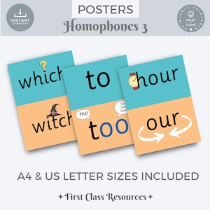 Homophones Klassenzimmer Poster 3, Homophones Poster, Klassenzimmer Dekor, häufig verwechselte Wörter, Rechtschreibposter, Lernposter Grammatik