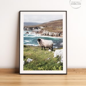Irish sheep, Ireland wall art, Irish countryside printable photography, Ireland sheep poster, Animal lovers home decor, Achill Island