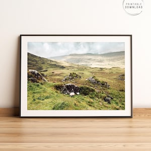 Irish landscape printable photo, Ireland wall art, Irish sheep, Kilarney National Park, County Kerry, Ireland wall decor, Travel poster