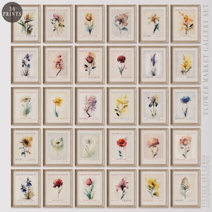 Flower Market Watercolor Print Set: Botanical Gallery Wall Art (Digital Download)