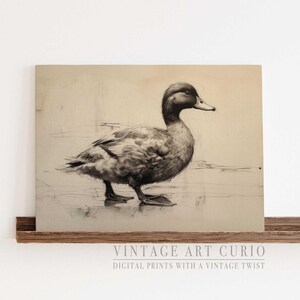 Esboço de arte de pato vintage, pintura em aquarela de pato rústico, decoração de casa de fazenda, arte de pato para impressão, arte para download, presente para amantes de pato - ANML017