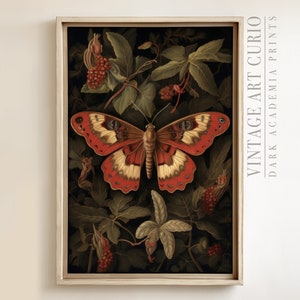 Antique Butterfly Print: Dark Academia Vintage Wall Art (Digital Download)