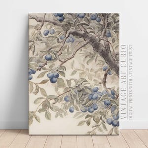 Vintage Blueberry Botanical Print: Antique Kitchen Art (Digital Download)