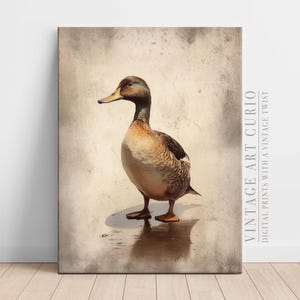 Esboço de arte de pato vintage, pintura rústica de pato em aquarela, decoração de fazenda, arte de pato para impressão, arte para download, presente para amantes de patos