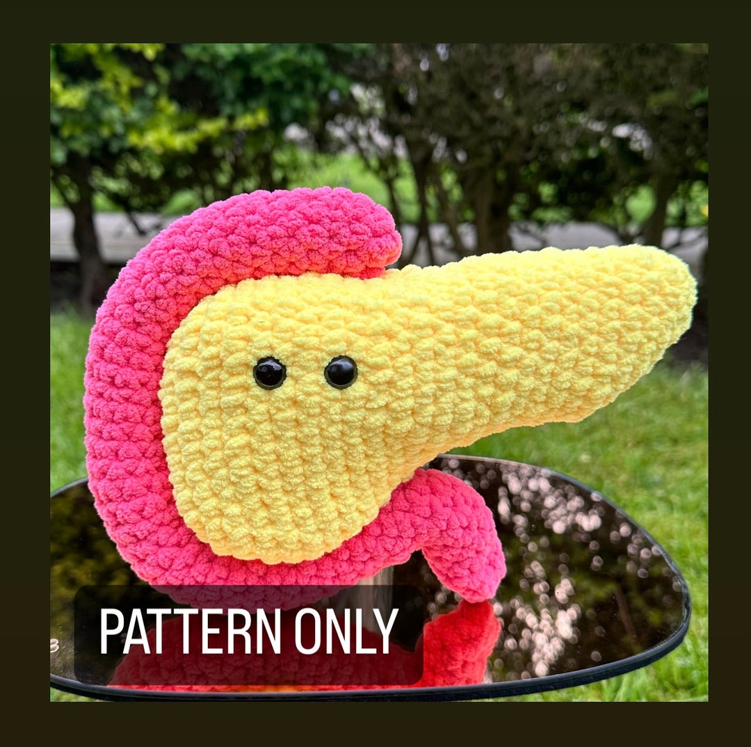 PATTERN ONLY - Crochet Pancreas Pattern - Etsy