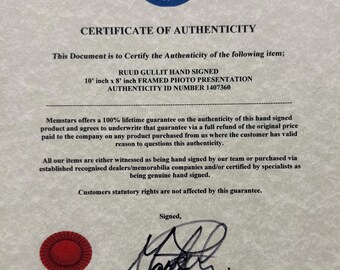 ルート・フリット、チェルシー、ACミラン、オランダの伝説 - 黒の額