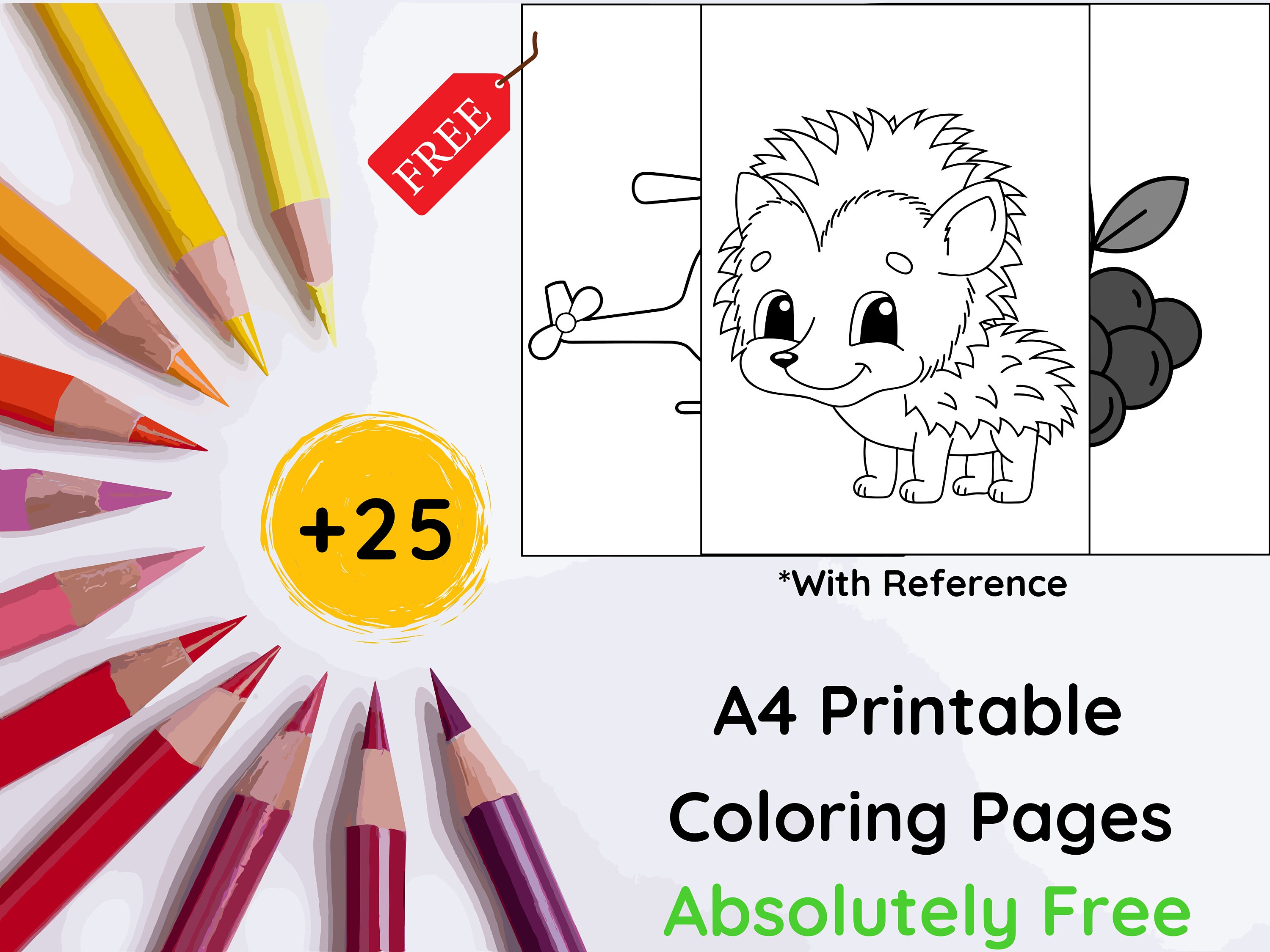 Serial Number Flashcards Printable Serial Number Flashcards - Etsy