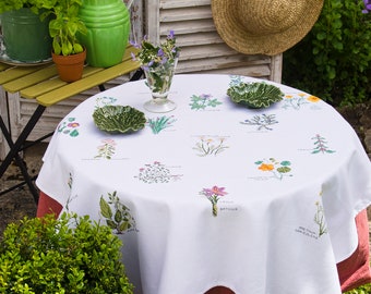 White checkered Aida cloth 5.5 count to embroider + Cross stitch creation 105_herbarium chart