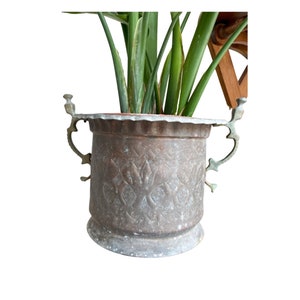 Pode incluir: Um vaso de cobre antigo com detalhes em relevo ornamentados e duas alças de latão. O vaso está cheio de uma planta verde.