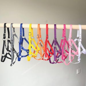 Op de afbeelding: Een collectie van tien nylon halsters voor dieren die op een rij aan een houten stang hangen. De halsters zijn verkrijgbaar in zwart, grijs, blauw, geel, oranje, rood, paars, donkerroze, lichtroze en wit, elk met zilverkleurige metalen gespen en ringen.