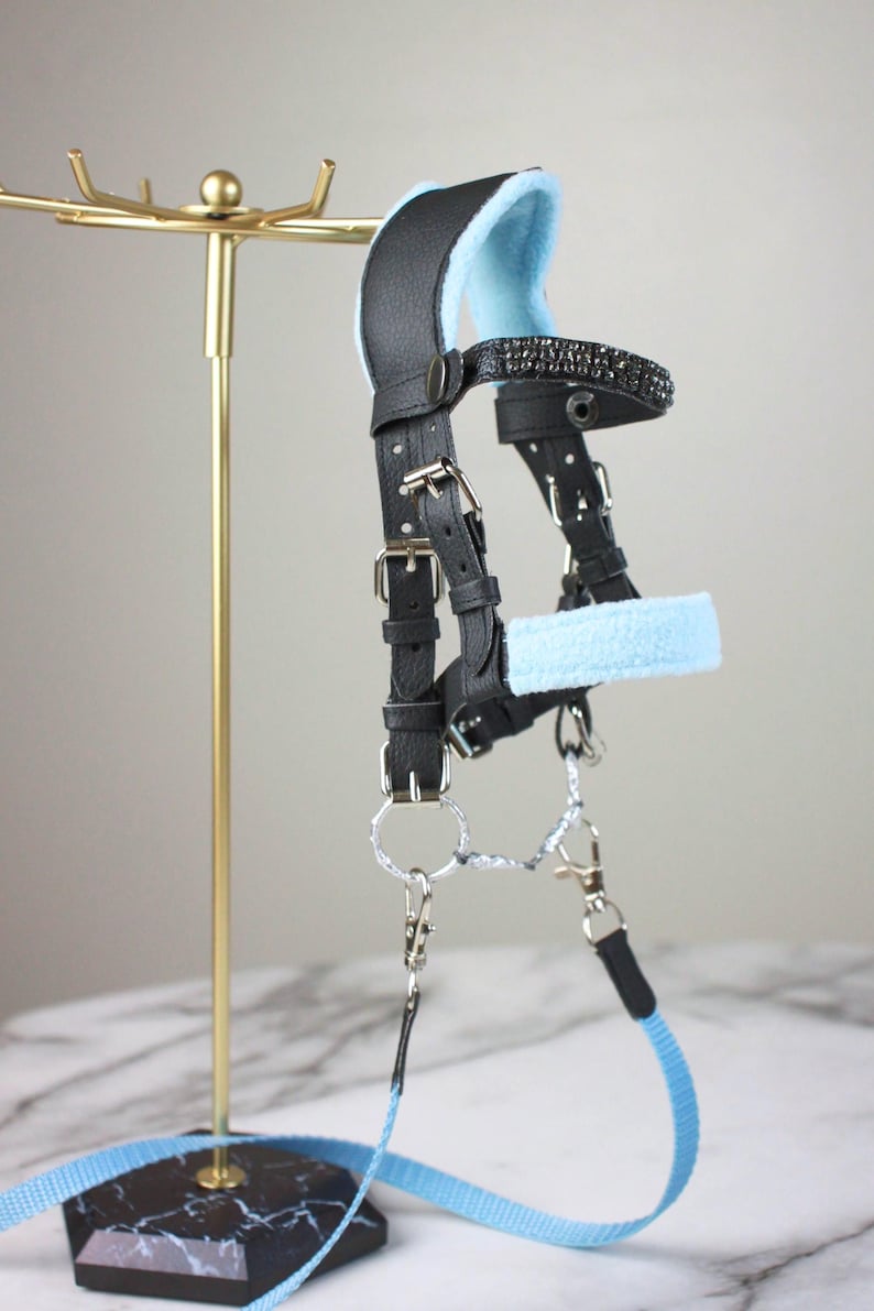 May include: A black leather horse halter featuring light blue fleece padding on the noseband and crown piece. The browband is embellished with dark crystals. It includes silver-toned metal buckles, rings, and a matching light blue nylon lead rope.