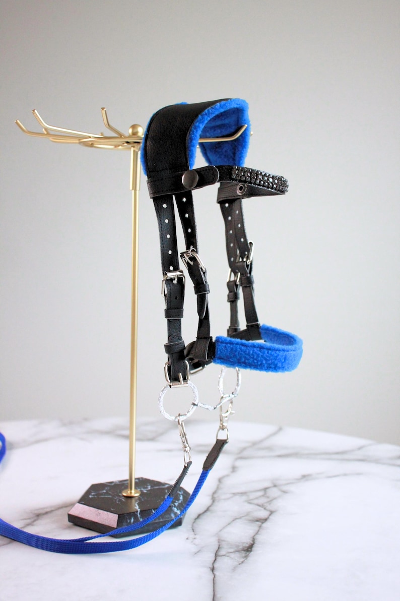 May include: A black leather horse halter featuring bright blue fleece padding on the noseband and crown piece. The halter includes silver-toned metal buckles, a browband adorned with black crystals, and a matching blue lead rope attached.