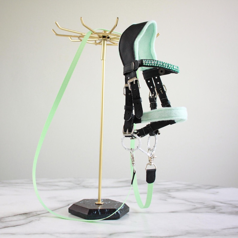 May include: A black leather horse bridle featuring mint green padding on the noseband and crown piece, accented with a browband of sparkling mint green crystals, silver-toned metal buckles, and a long mint green lead rope hanging from the bridle.