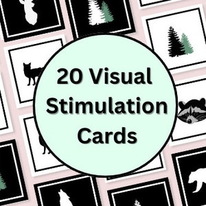 20 Woodland Animals Newborn Visual Stimulation Card | Flash Cards High Contrast | Baby Toy Development Education | Forest Sensory Pictures