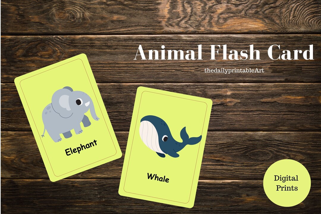 Animal Flash Cards for Your Toddlers Preschool Kindergarten - Etsy